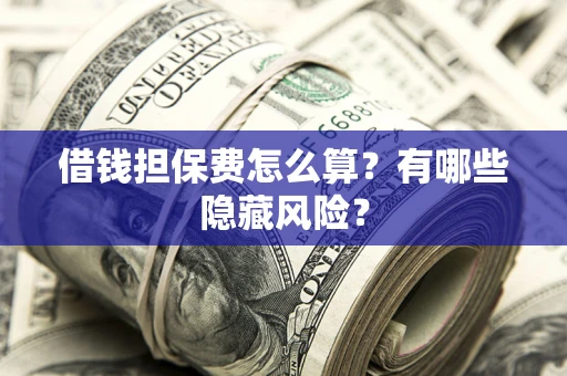 武汉借钱担保费怎么算？有哪些隐藏风险？