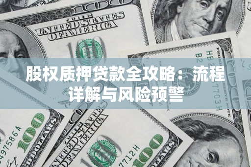 武汉股权质押贷款全攻略：流程详解与风险预警