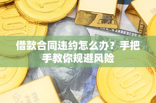 武汉借款合同违约怎么办？手把手教你规避风险
