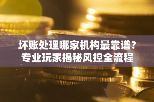 武汉坏账处理哪家机构最靠谱？专业玩家揭秘风控全流程