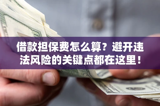 武汉借款担保费怎么算？避开违法风险的关键点都在这里！