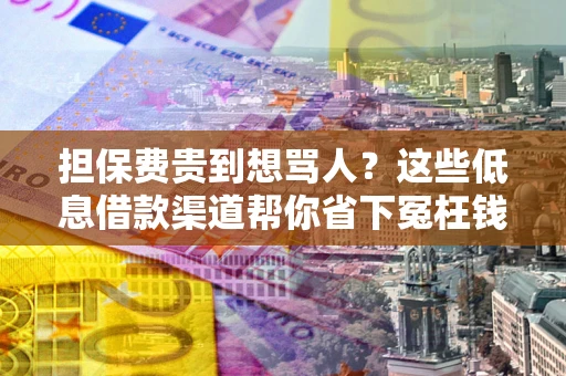 武汉担保费贵到想骂人？这些低息借款渠道帮你省下冤枉钱
