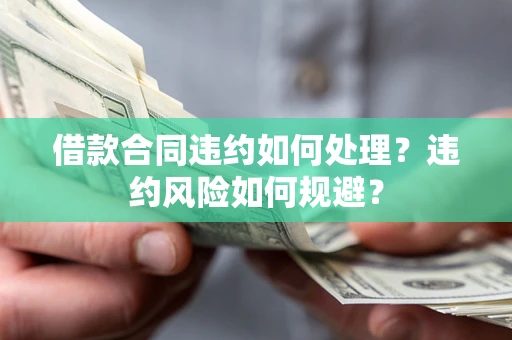 武汉借款合同违约如何处理？违约风险如何规避？