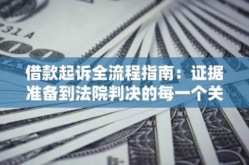 武汉借款起诉全流程指南：证据准备到法院判决的每一个关键步骤