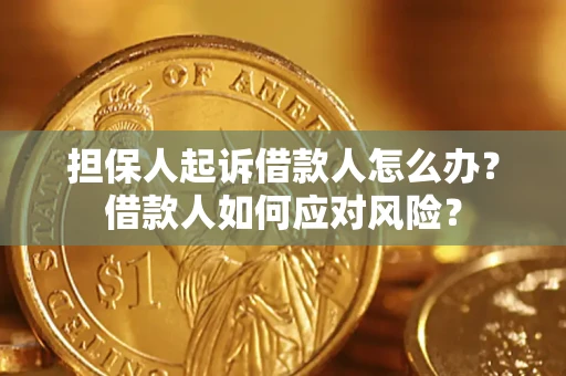 武汉担保人起诉借款人怎么办？借款人如何应对风险？
