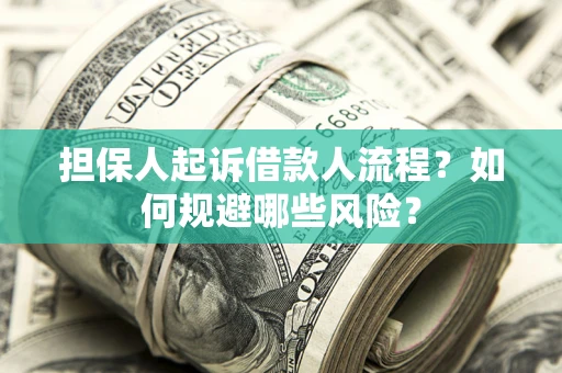 武汉担保人起诉借款人流程？如何规避哪些风险？