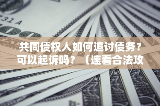 武汉共同债权人如何追讨债务？可以起诉吗？（速看合法攻略）