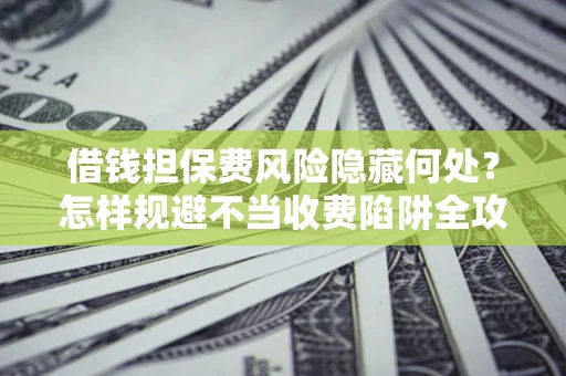 武汉借钱担保费风险隐藏何处？怎样规避不当收费陷阱全攻略！