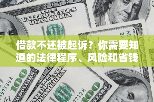 武汉借款不还被起诉？你需要知道的法律程序、风险和省钱技巧
