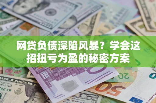 武汉网贷负债深陷风暴？学会这招扭亏为盈的秘密方案