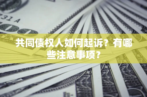 武汉共同债权人如何起诉？有哪些注意事项？