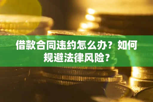 武汉借款合同违约怎么办？如何规避法律风险？